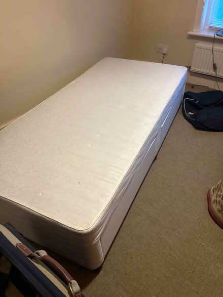 Photo of free Single divan (Dunton green) #1
