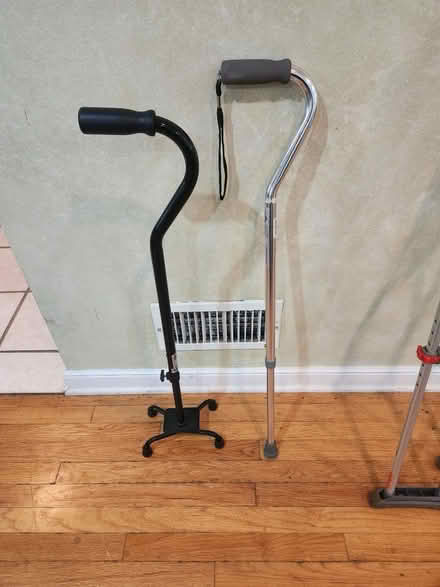 Photo of free Canes (South Loop) #1