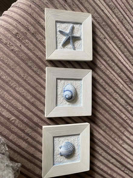 Photo of free Ceramic sea theme pictures (Guildford GU1) #1