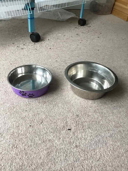 Photo of free Water and food bowl for dog or cat (Leamington spa CV31) #3
