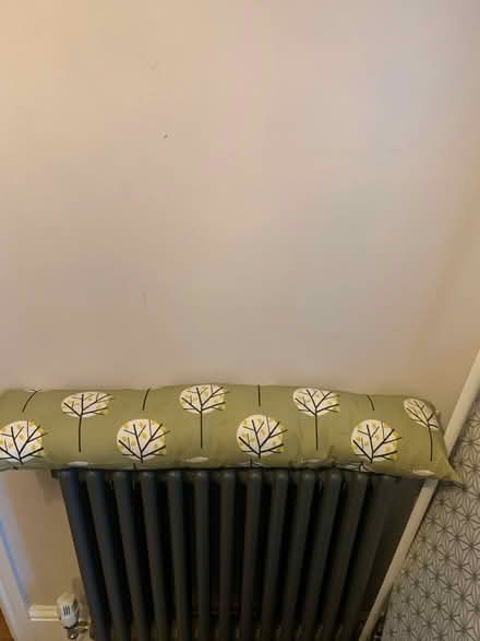 Photo of free Draft excluder (West Bridgford NG2) #1