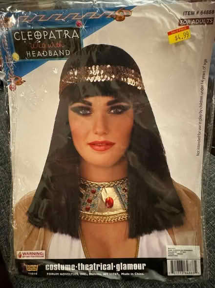 Photo of free Halloween wig (East Arlington) #1