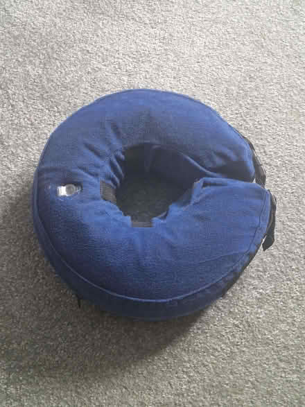 Photo of free Buster collars for small dog (Knebworth SG3) #2