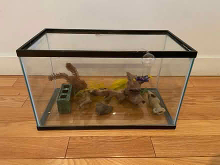 Photo of free Aquarium and accessories (Roncesvalles) #1