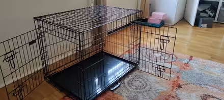 Photo of free Dog Kennel (NW6 6AH) #1