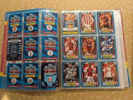 Photo of free 2 Match Attax binders with cards (Sele Farm SG14) #3