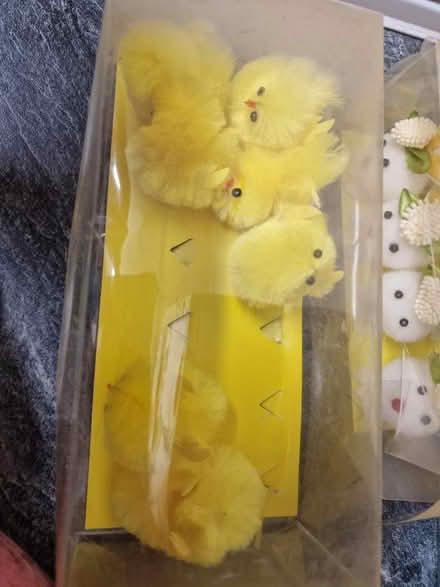 Photo of free Easter Baking Bundle (Barton/Headington, OX3) #3
