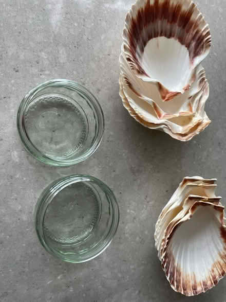 Photo of free 8 Shells and 2 small glass pots (Windsor SL4) #2