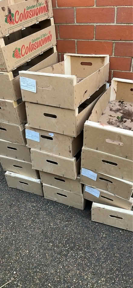 Photo of free 25 empty grape crates (Pen-y-Lan CF23) #2
