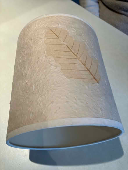 Photo of free Pretty leaf lampshade - cream (Thurton NR14) #3