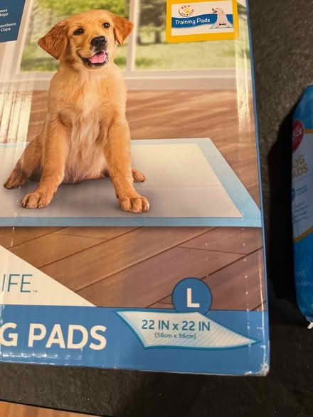 Photo of free Puppy training pads (Farmington Hills)