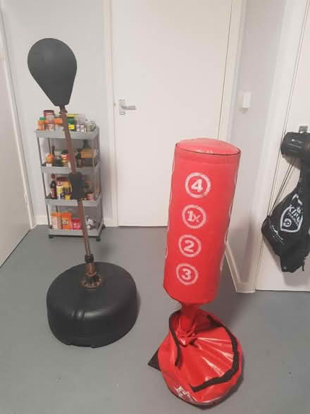 Photo of free Punch ball and punch bag (Stevenage SG2) #1