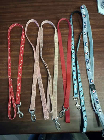 Photo of free Various small dog leads/harnesses (Gildersome LS27) #1