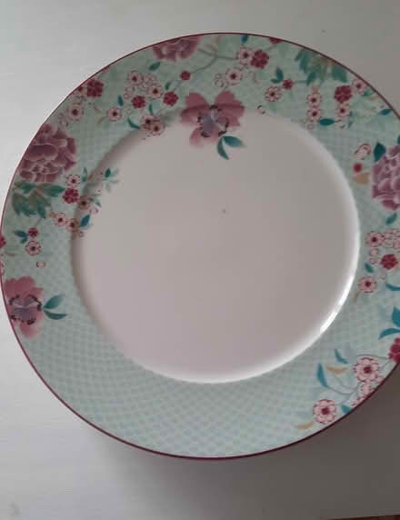 Photo of free Dinner Plates (Hayle) #1