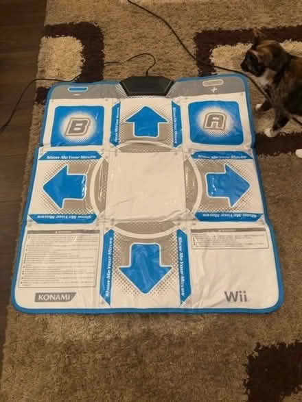 Photo of free Wii dance mat (Barrett's Bridge PE13) #1