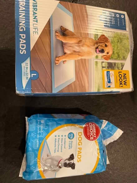 Photo of free Puppy training pads (Farmington Hills)