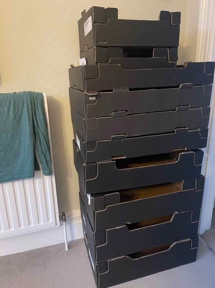 Photo of free Cardboard boxes (Rusthall TN4) #1