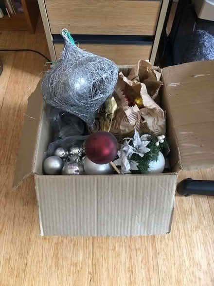 Photo of free Christmas decorations (Stoke St Milborough SY8) #1