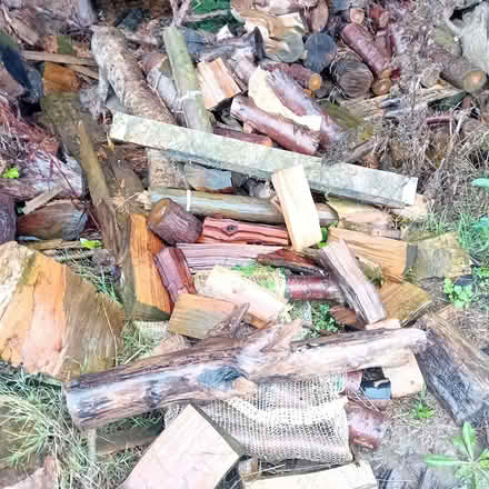 Photo of free Logs and wood (Kempston West End MK43) #1