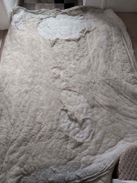 Photo of free 1 Single + 1 Double Old Duvets (Aylestone LE2) #2