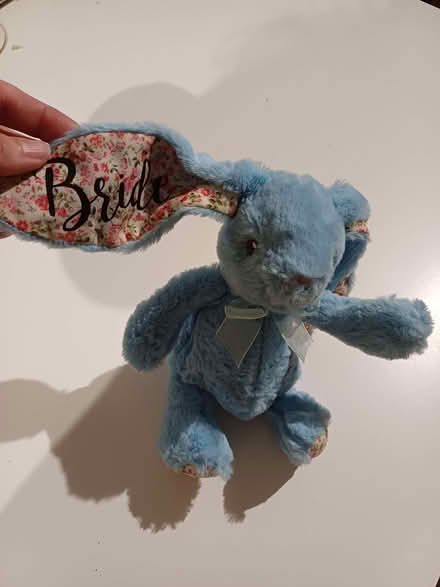 Photo of free Bridal Gift Bunny Rabbit Cuddly Toy (Orgreave S13) #1