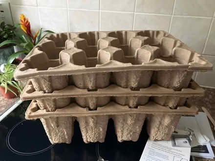 Photo of free 3 card board trays for planting seeds (Chilwell NG9) #1