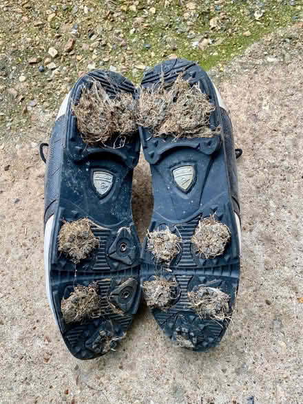 Photo of free Mens golf shoes (UK size 9.5) (Haldens AL7) #1