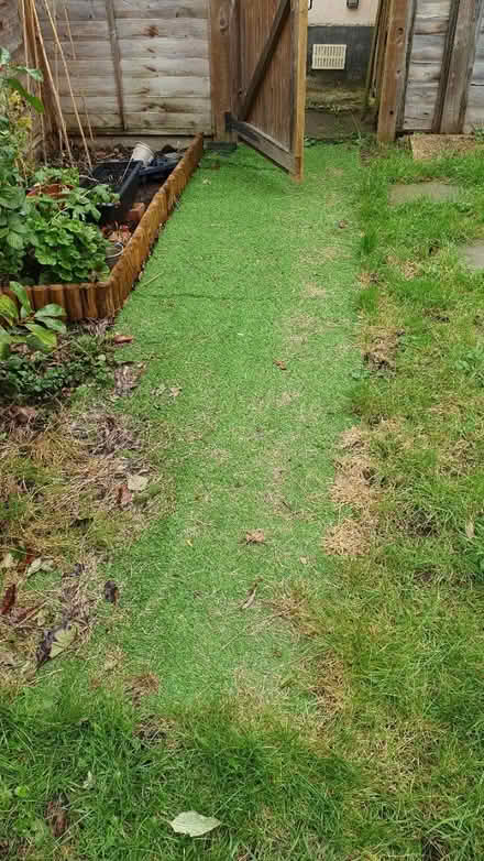 Photo of free Artificial Grass Strips (Pinner HA5) #1