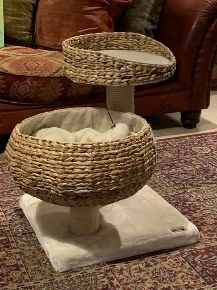 Photo of free Cat Bed/Scratching Post (Warminster BA12) #1