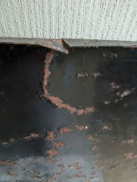 Photo of free Very large dog crate (Llandrindod LD1) #4