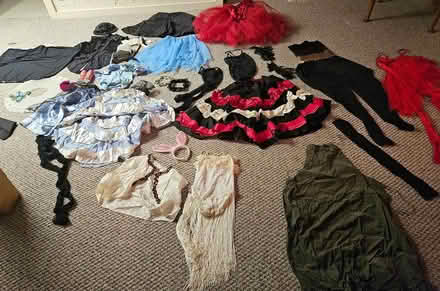 Photo of free Adult Dance Costumes (Farmington Hills) #2