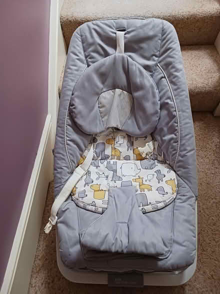 Photo of free Baby bouncer (East Dulwich, SE22) #1