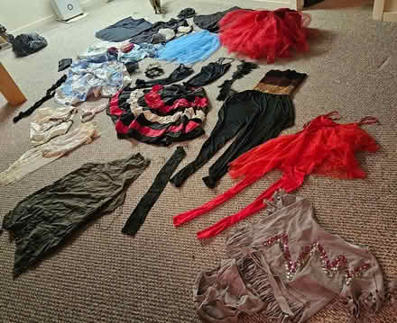 Photo of free Adult Dance Costumes (Farmington Hills) #1