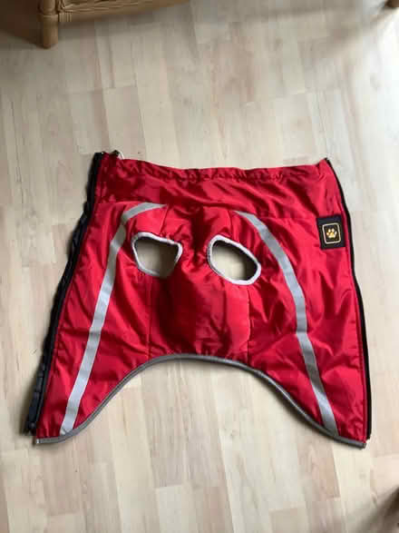 Photo of free Raincoat for dog (Hoddesdon EN11) #2