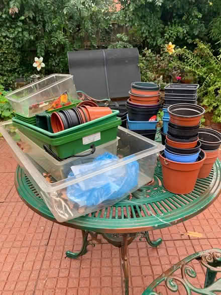 Photo of free Propagation (Winyates West B98) #1