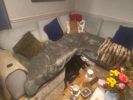 Photo of free L shaped sofa (Caerphilly CF83) #1