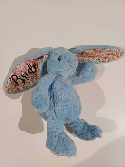 Photo of free Bridal Gift Bunny Rabbit Cuddly Toy (Orgreave S13) #2