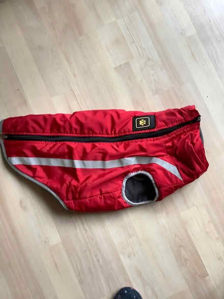 Photo of free Raincoat for dog (Hoddesdon EN11) #1