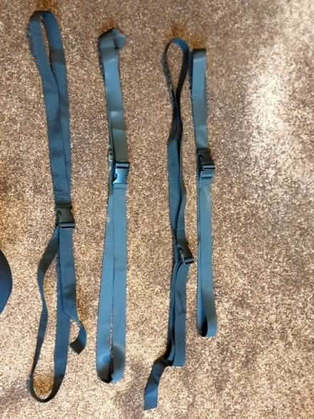 Photo of free Straps (Cumnor OX2) #1