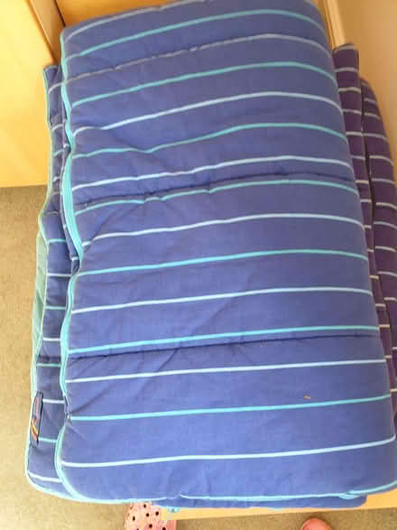Photo of free 2 zip together sleeping bags (Kippington TN13) #1