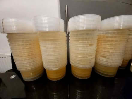 Photo of free Plastic Food Pots (Wesham PR4) #1