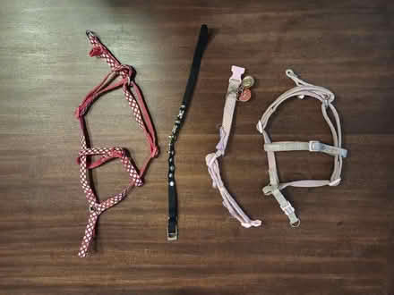 Photo of free Various small dog leads/harnesses (Gildersome LS27) #2