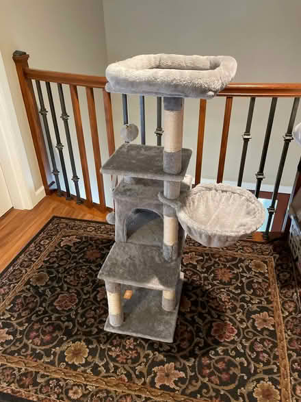 Photo of free Kitty tree (Edgewood WA) #1
