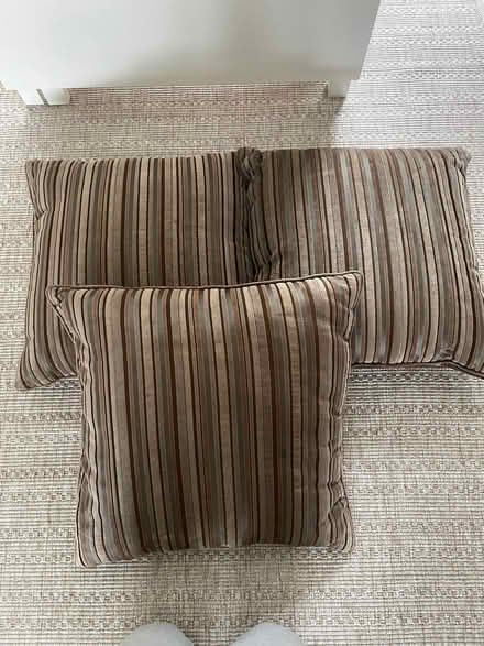 Photo of free Cushions (North Ascot SL5) #1