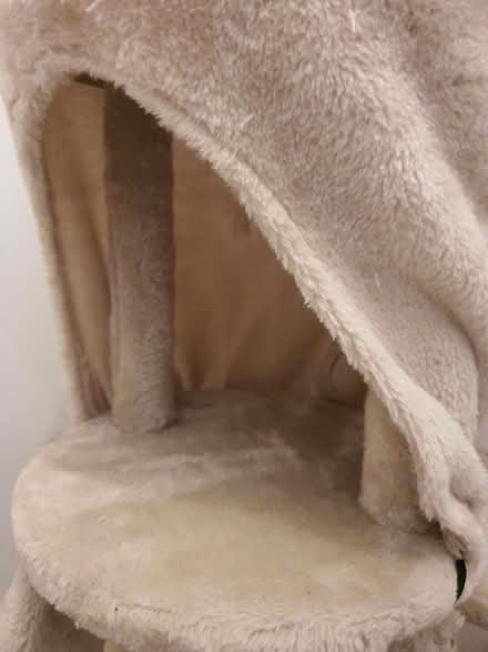 Photo of free Cat tree - 3 years old (Strawberry Hill TW2) #3
