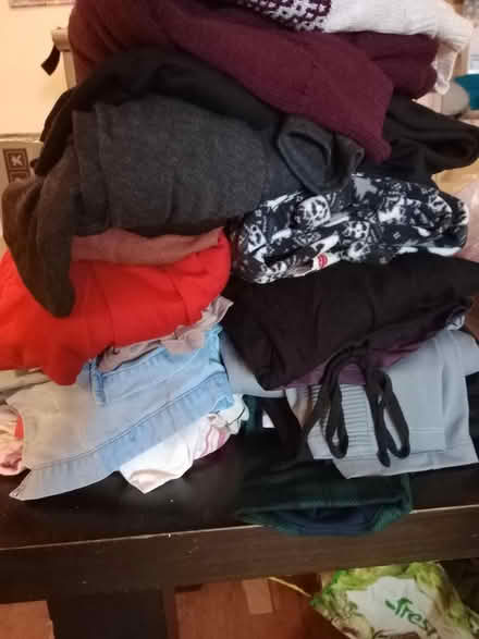 Photo of free Women's clothes size 18-20 (Ditmas park) #1