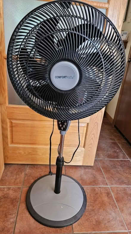 Photo of free Fabulous Fan (Stanley Park Kitchener) #1