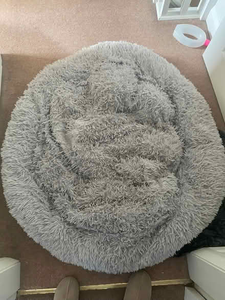Photo of free Dog bed (Formby L37) #1