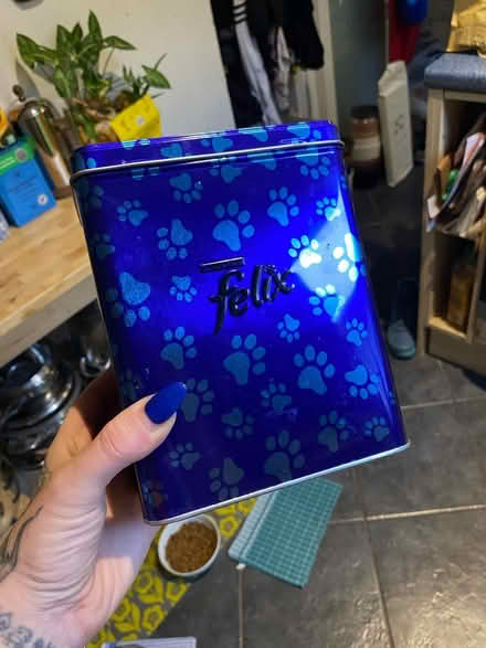 Photo of free Felix cat treat tin (Rochester ME1) #1