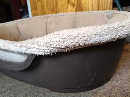 Photo of free BS30 Oldland/Warmley area medium dog bed (The Batch) #1